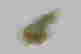item-131464153=6