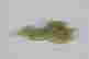item-131464153=7