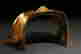 item-131782762=6