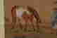 item-131782861=3