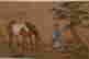 item-131782861=4