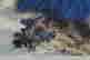 item-131922278=6
