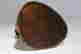 item-132791843=9