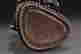 item-133527445=9