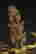 item-136654647=10