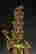 item-136654647=7
