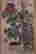item-137210819=8