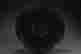 item-137210941=12
