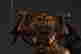 item-137211147=6