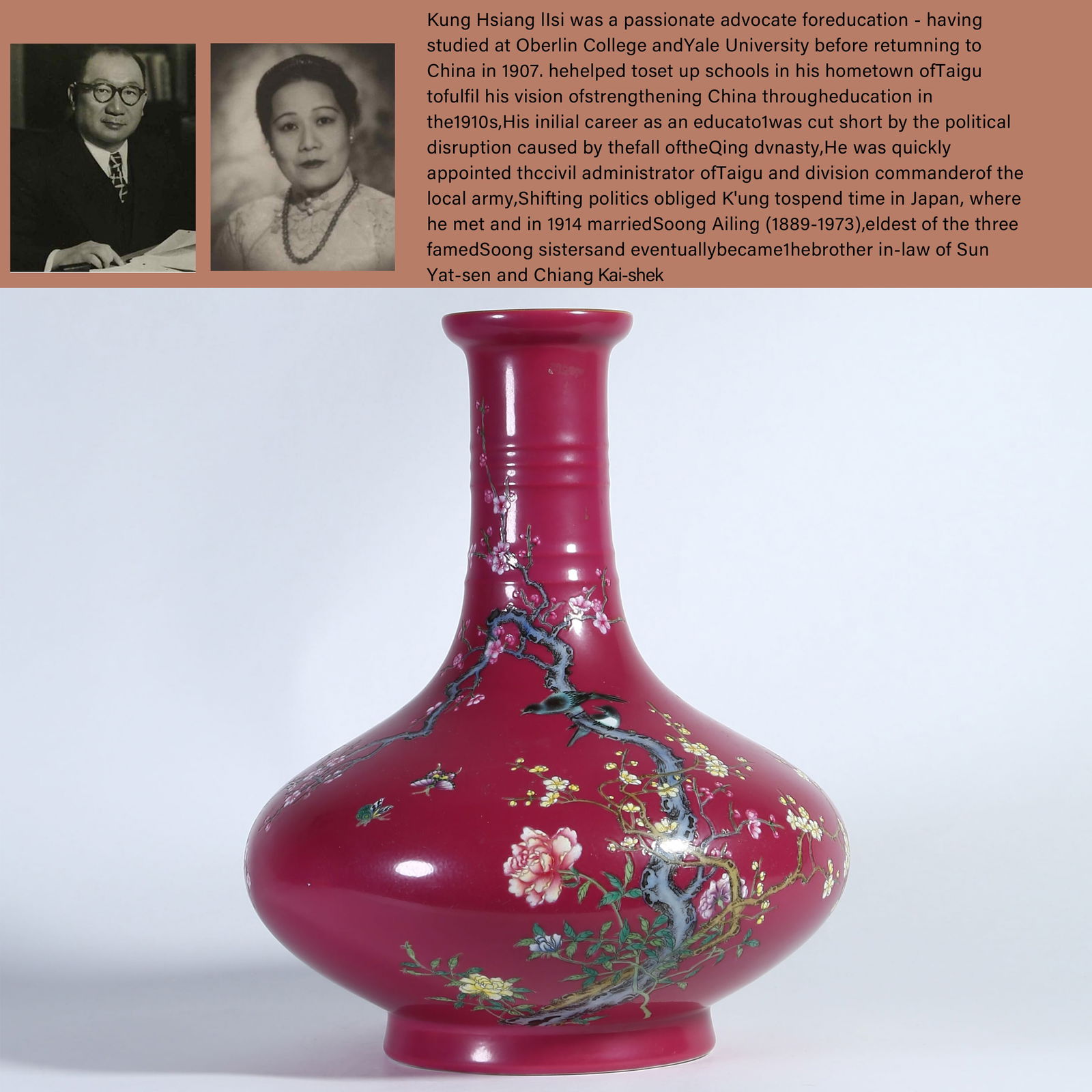 A ROUGE RED GLAZE FAMILLE ROSE FLOWER AND BIRD PATTERN APPRECIATION VASE (1 of 11)