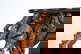 item-209346472=2