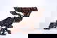 item-209346682=11