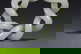 item-209347115=3