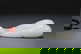 item-209349666=6