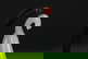 item-209349666=8