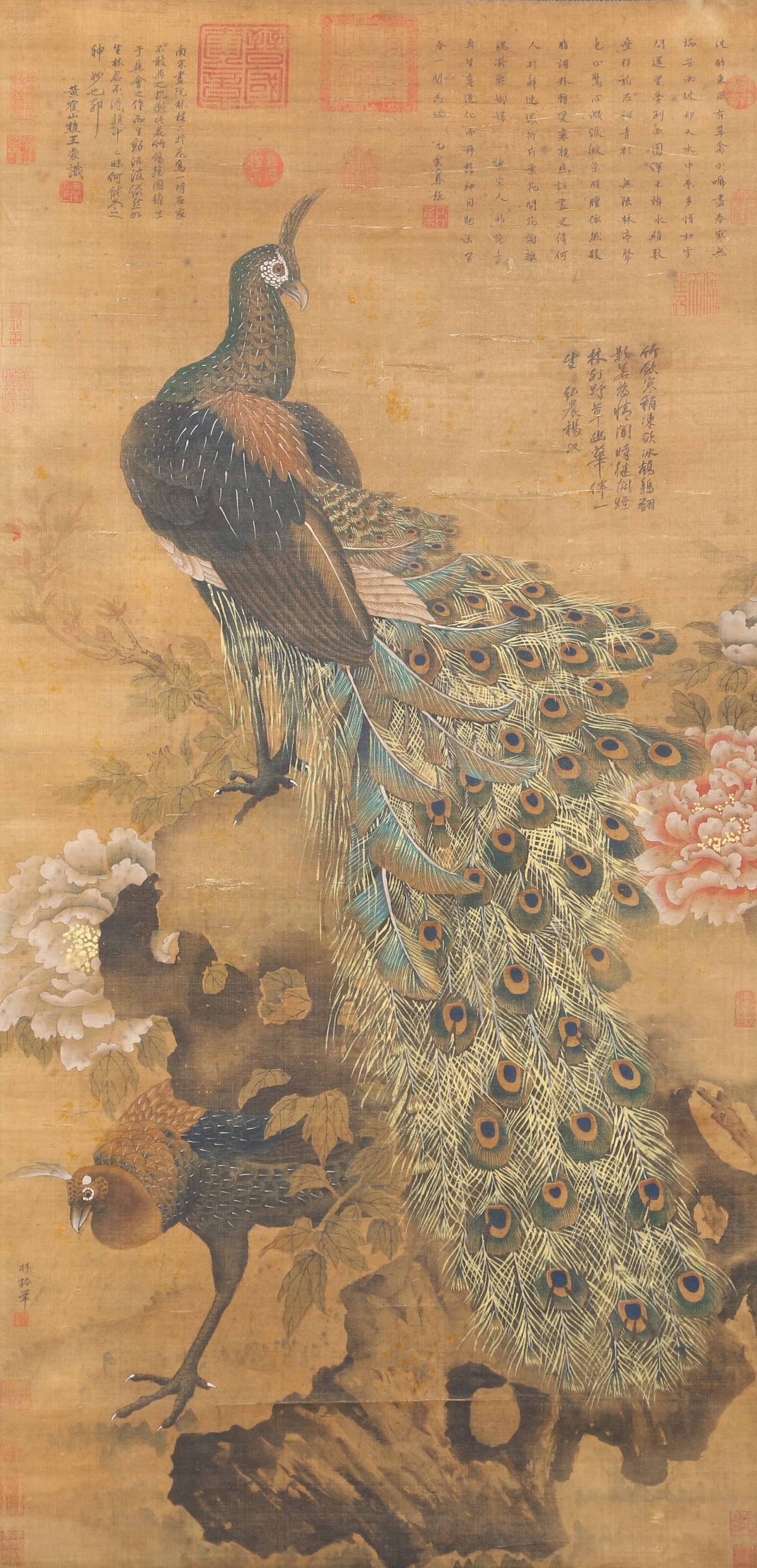 A PEACOCK ON SILK BY LIN CHUN.林椿: Peacock on Silk by Lin Chun.林椿