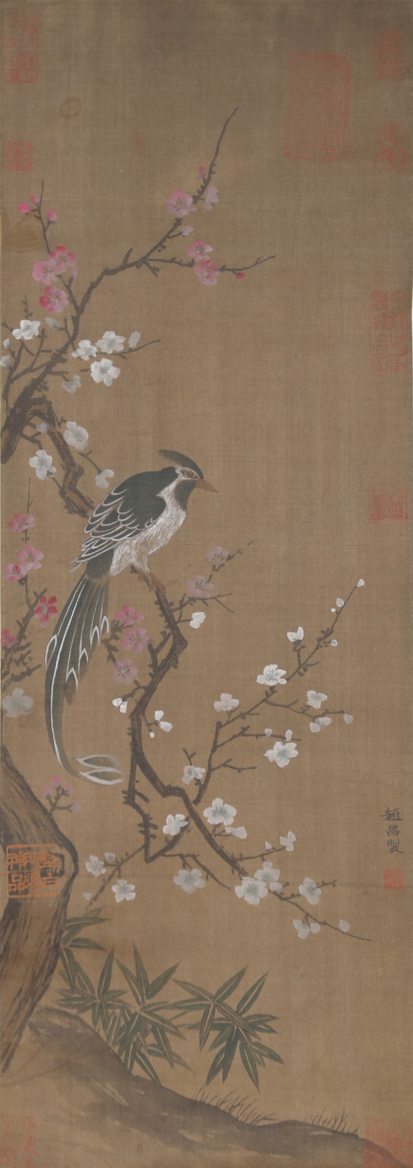 A FLOWERS AND BIRDS PAINTING ON SILK BY ZHAO CHANG.趙昌 (1 of 9)