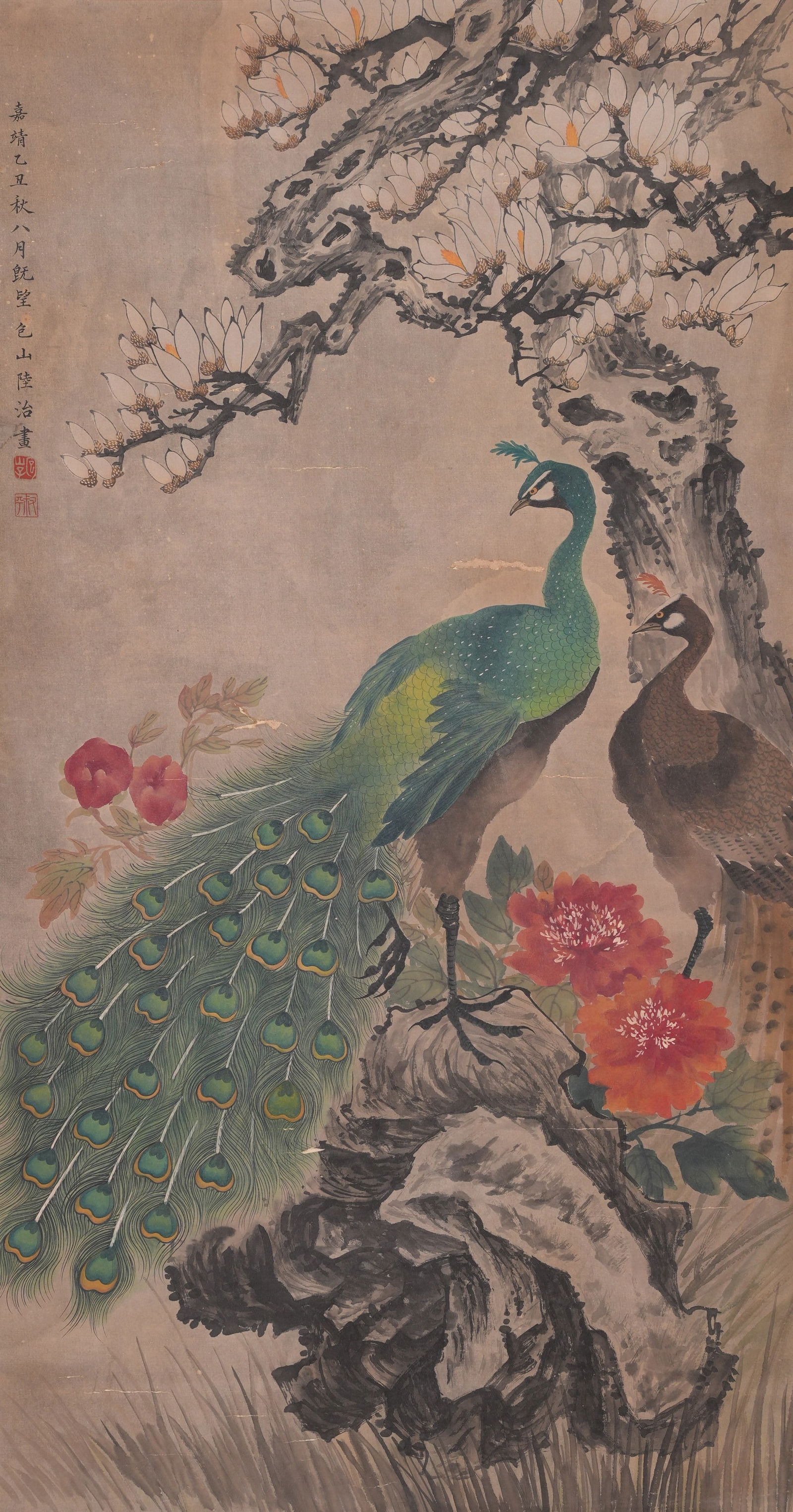 A PEACOCK PAINTING ON PAPER BY LU ZHI.陸治: Peacock painting on paper by Lu Zhi.陸治