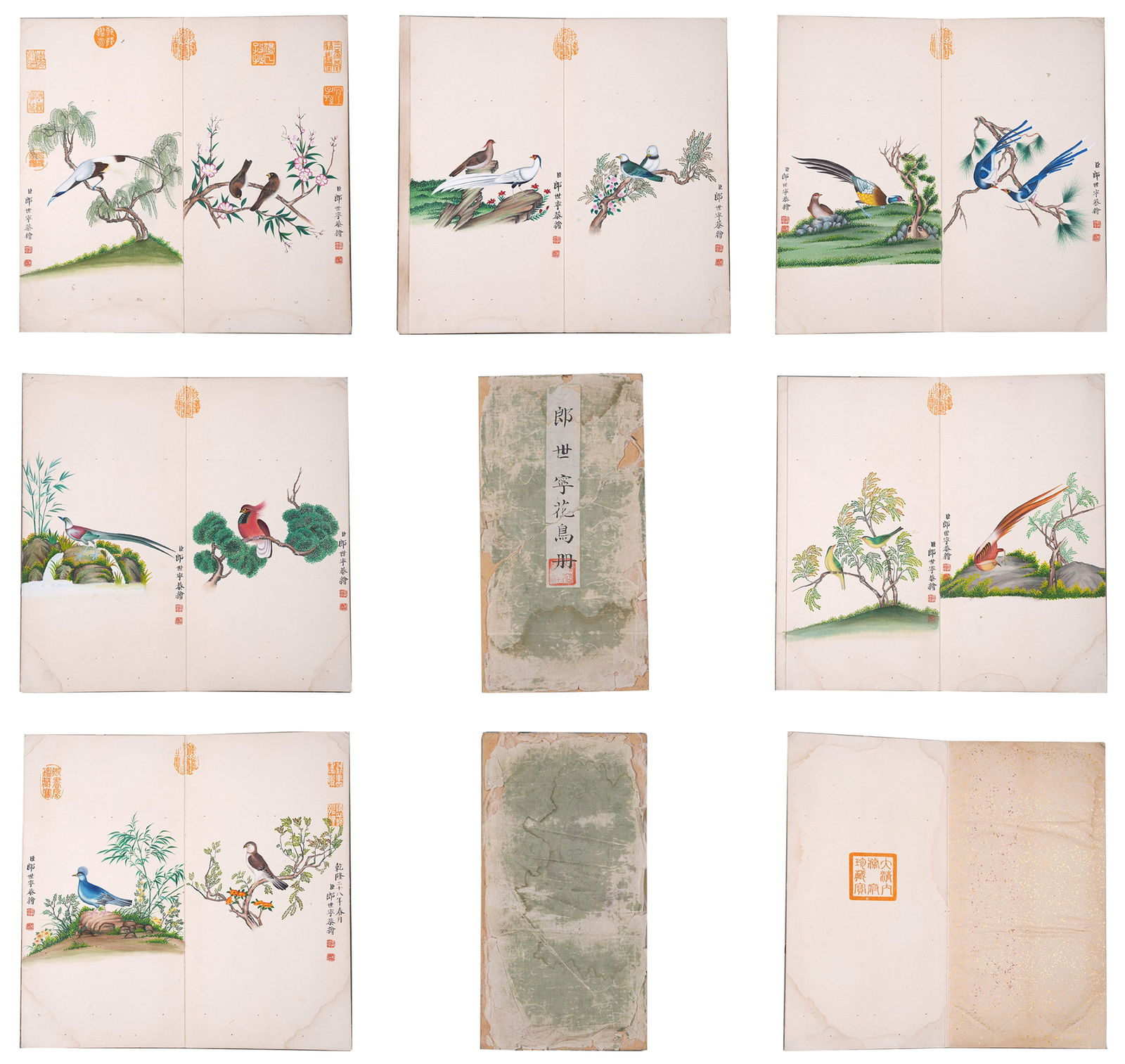 A BIRD-AND-FLOWER PAINTING ALBUM LEAVES ON PAPER BY GIUSEPPE CASTIGLIONE (LANG SHINING) (6: Bird-and-Flower Painting Album Leaves on Paper by Giuseppe Castiglione (Lang Shining) (6 leaves).郎世寧