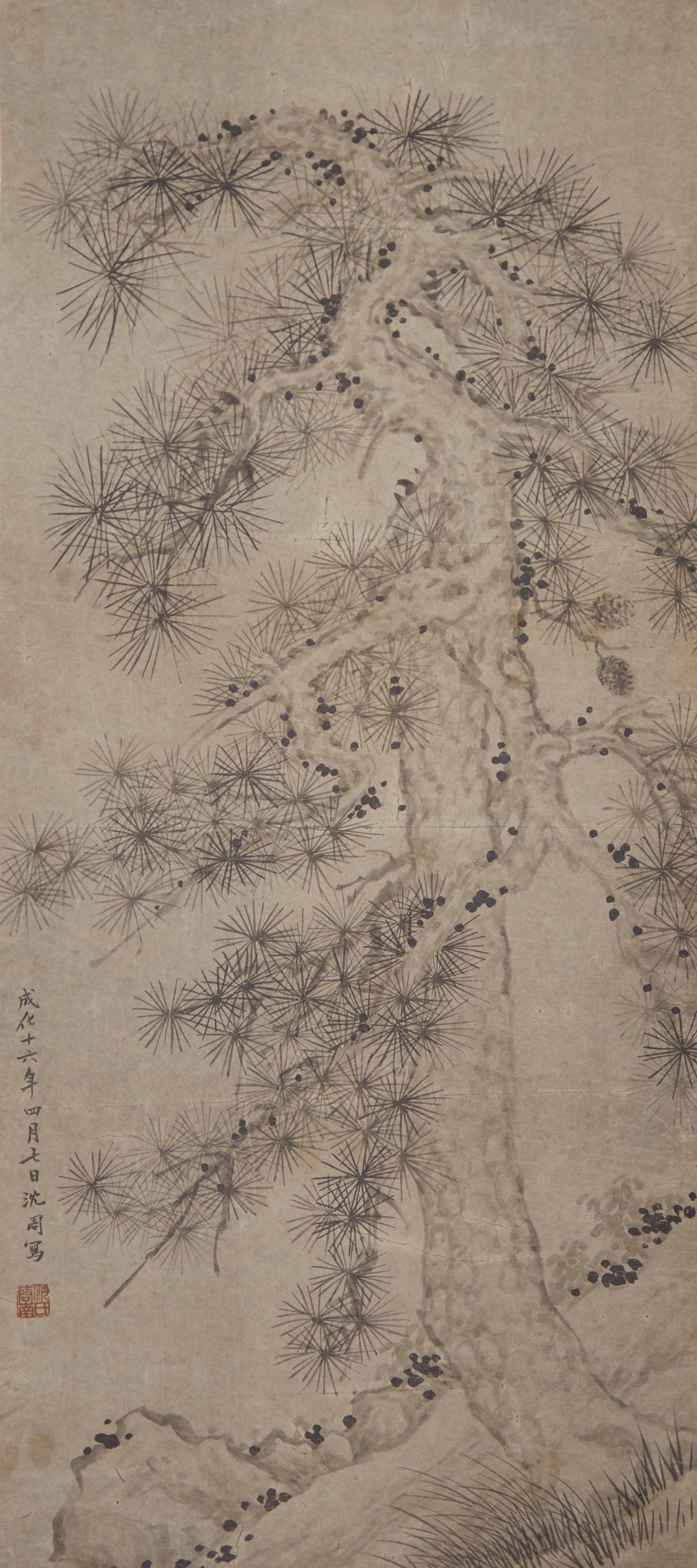 A PINE TREE PAINTING ON PAPER BY SHEN ZHOU.沈周 (1 of 9)