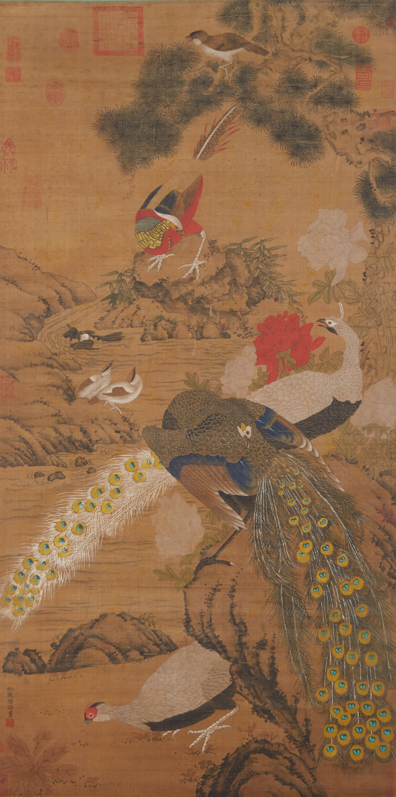 A PEACOCK PAINTING ON SILK BY SUN LONG.孫隆 (1 of 13)