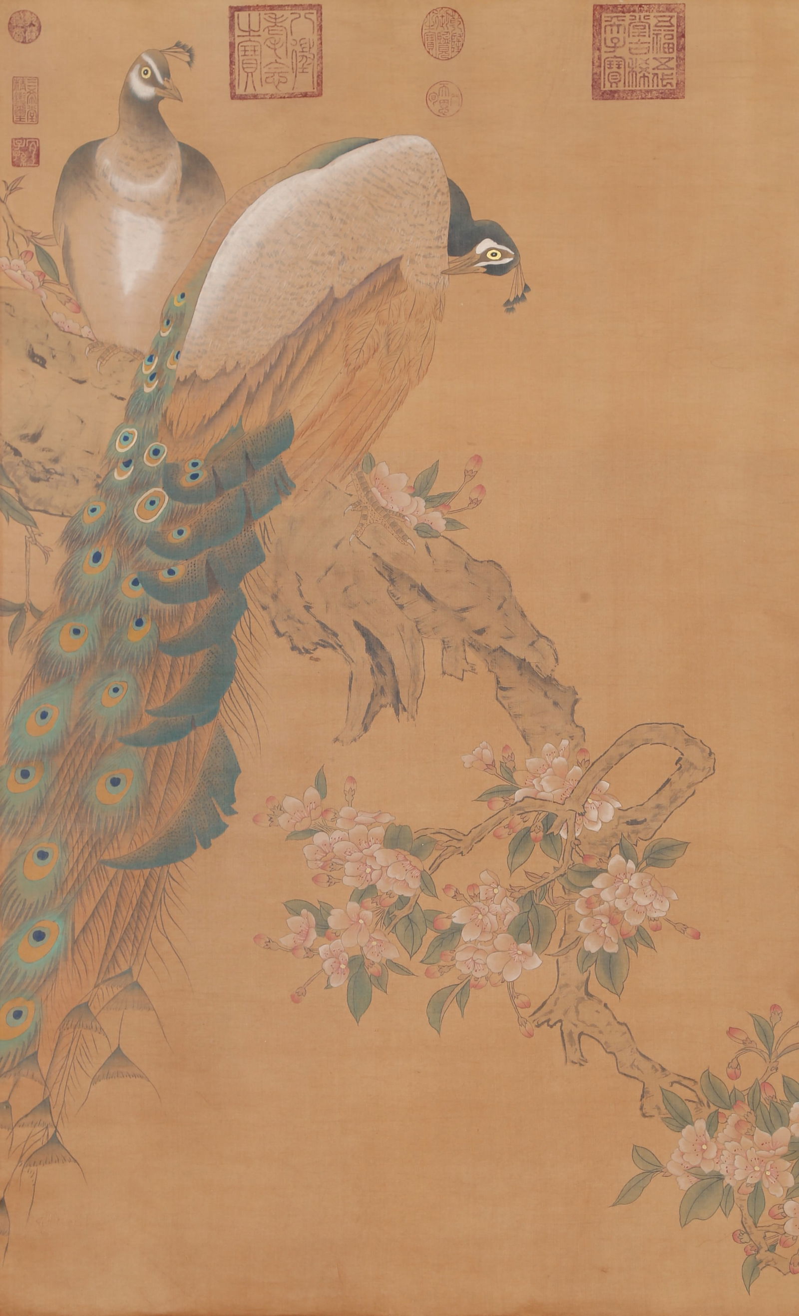 A PEACOCK PAINTING ON SILK BY JIANG TINGXI.蔣廷錫 (1 of 9)