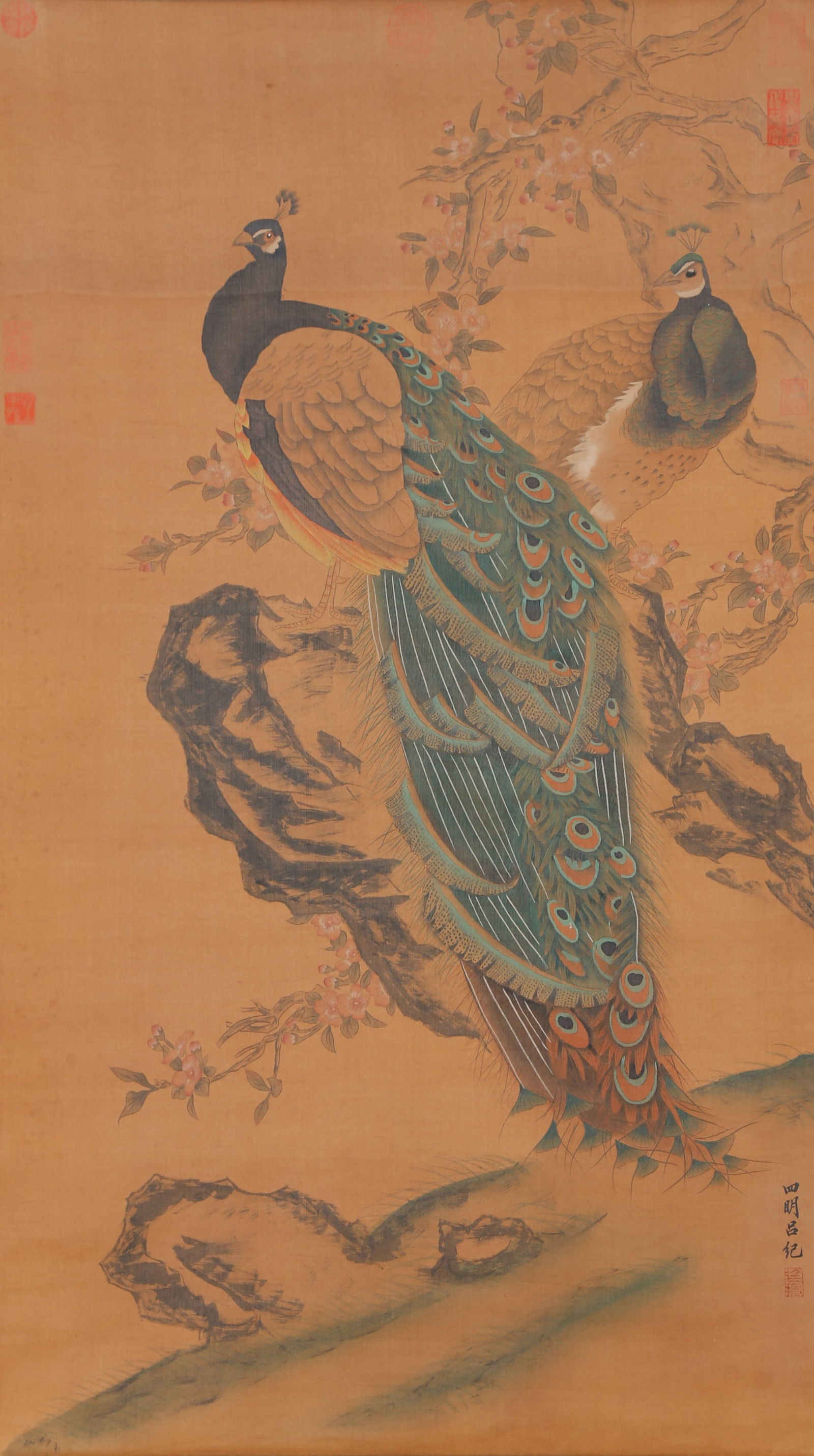A PEACOCK PAINTING ON SILK BY LÜ JI.呂紀: Peacock Painting on Silk by Lü Ji.呂紀