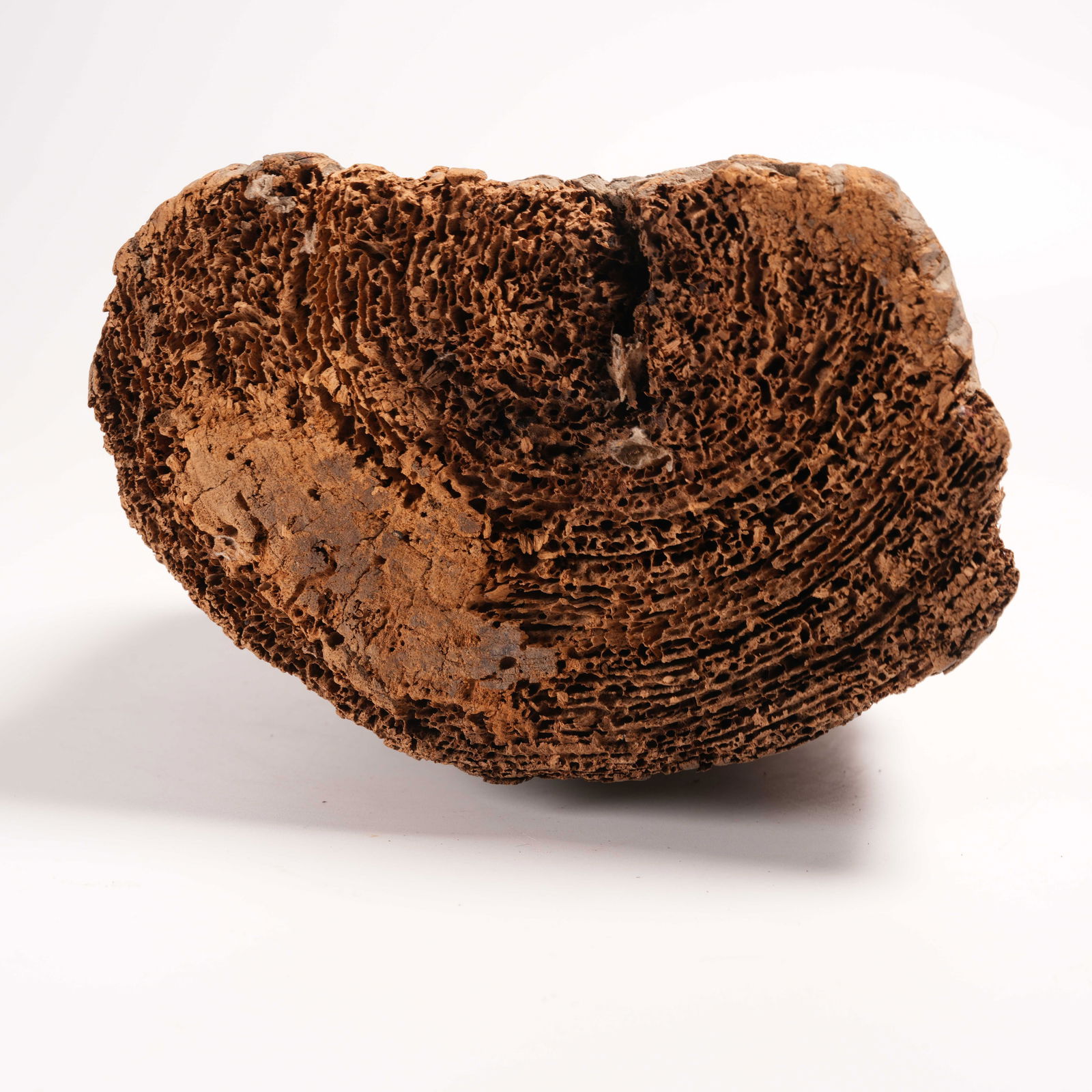 A GILDED LACQUER AMORPHOUS FIGURE - 9