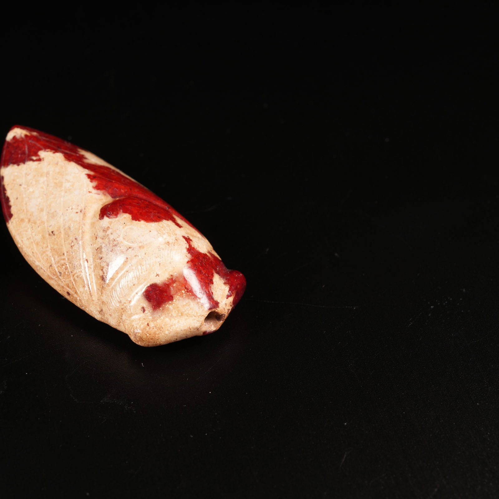 A ANCIENT JADE CICADA - 5