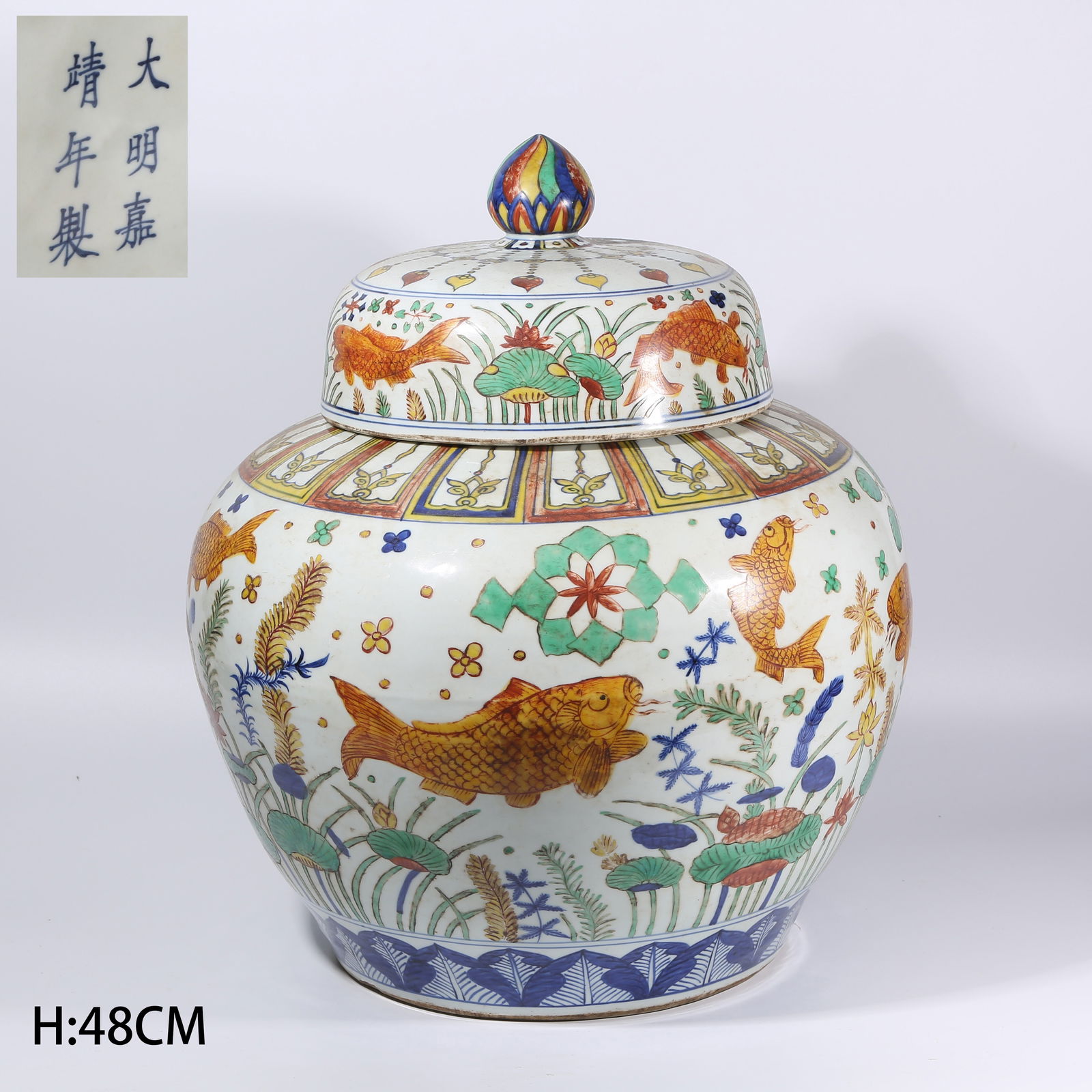 A WUCAI FISH AND ALGAE PATTERN LARGE JAR: Wucai Fish and Algae Pattern Large Jar