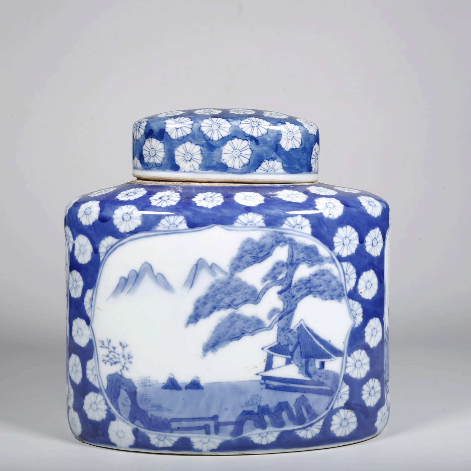 A BLUE-AND-WHITE TEA CADDY WITH OPEN-WINDOW LANDSCAPE MOTIF (1 of 12)