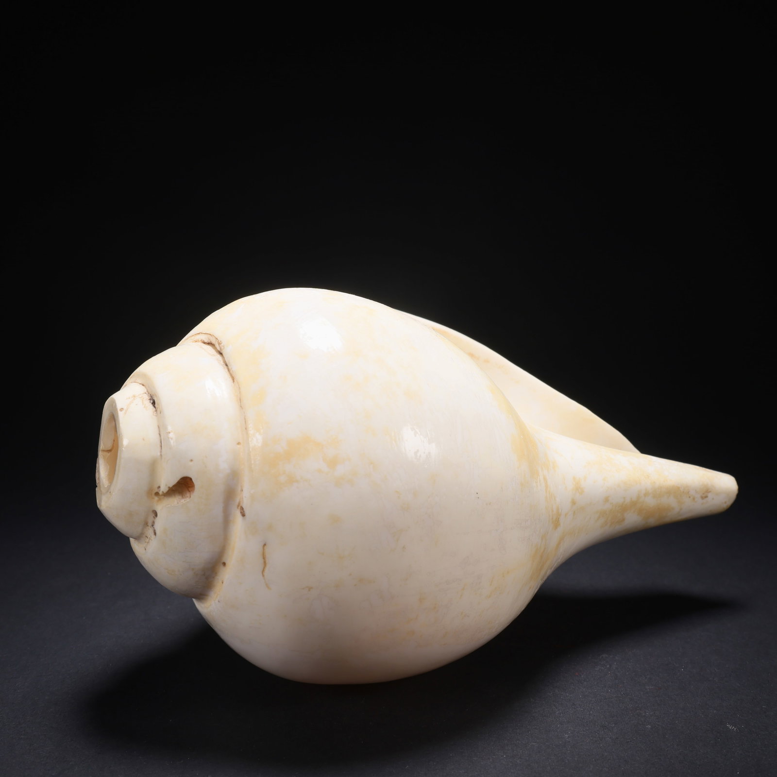 A CONCH WITH INSCRIBED SCRIPT - 2