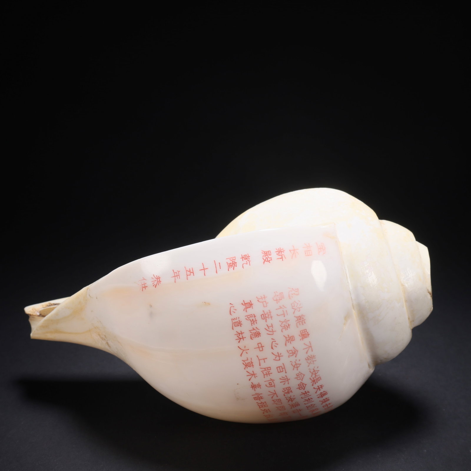 A CONCH WITH INSCRIBED SCRIPT - 5