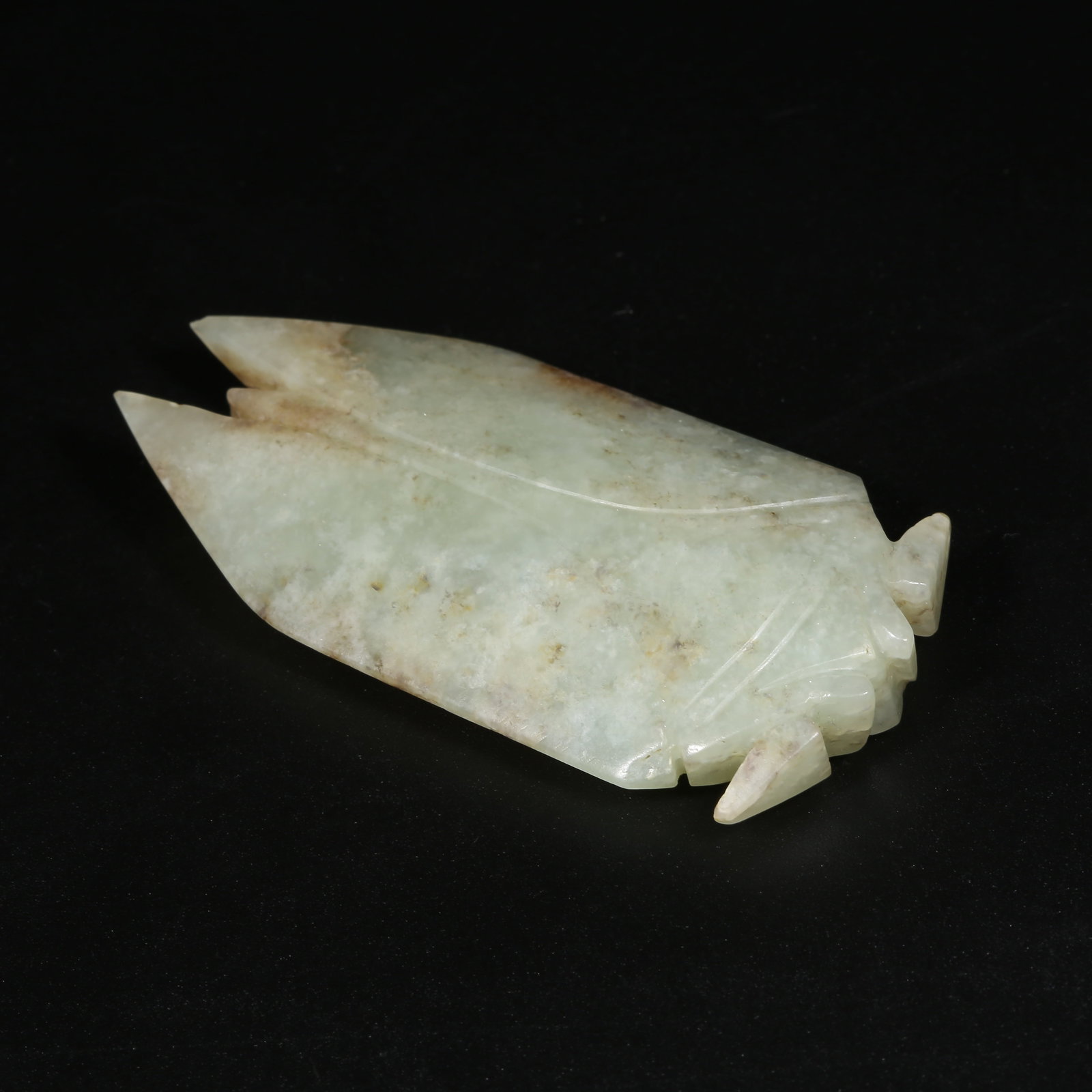 A ANCIENT JADE CICADA (1 of 8)