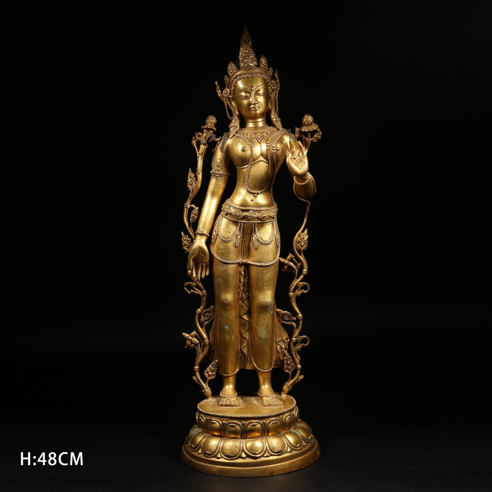 A GILT BRONZE STANDING BODHISATTVA STATUE (1 of 10)