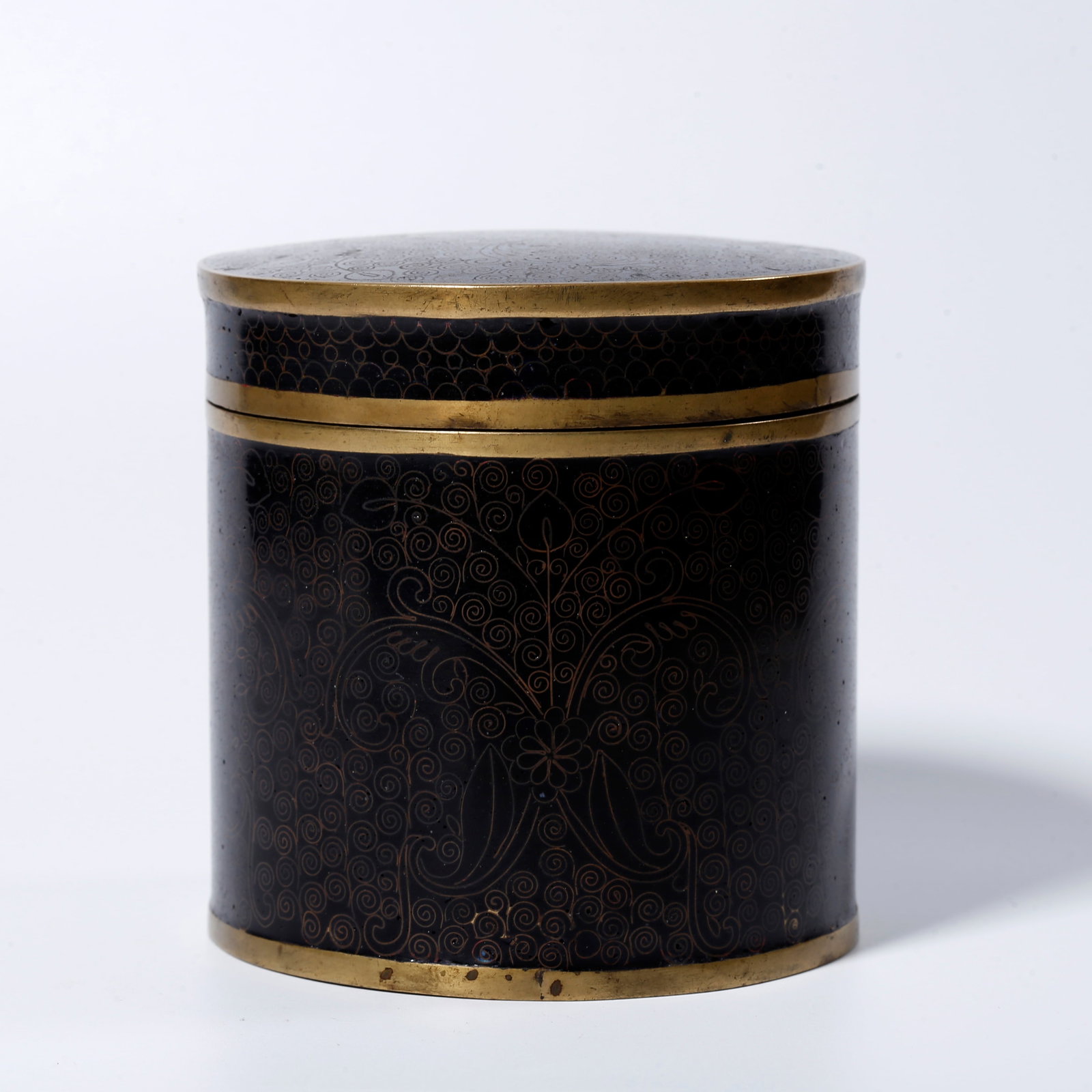 A BRONZE CLOISONNÉ COVERED JAR (1 of 10)