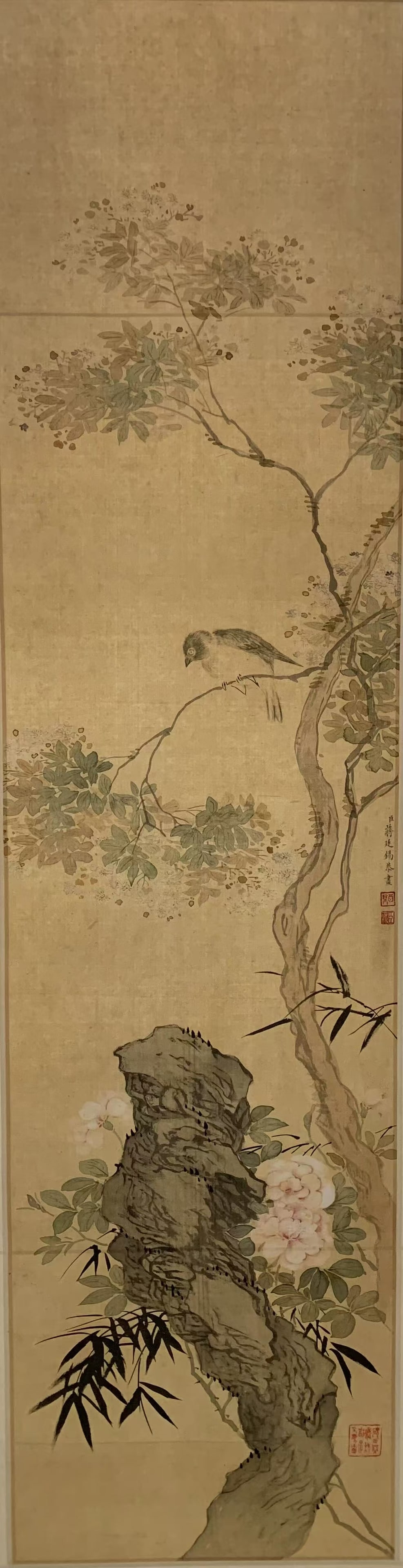A FLOWER AND BIRD PAINTING ON PAPER BY JIANG TINGXI.蔣廷錫 (1 of 7)