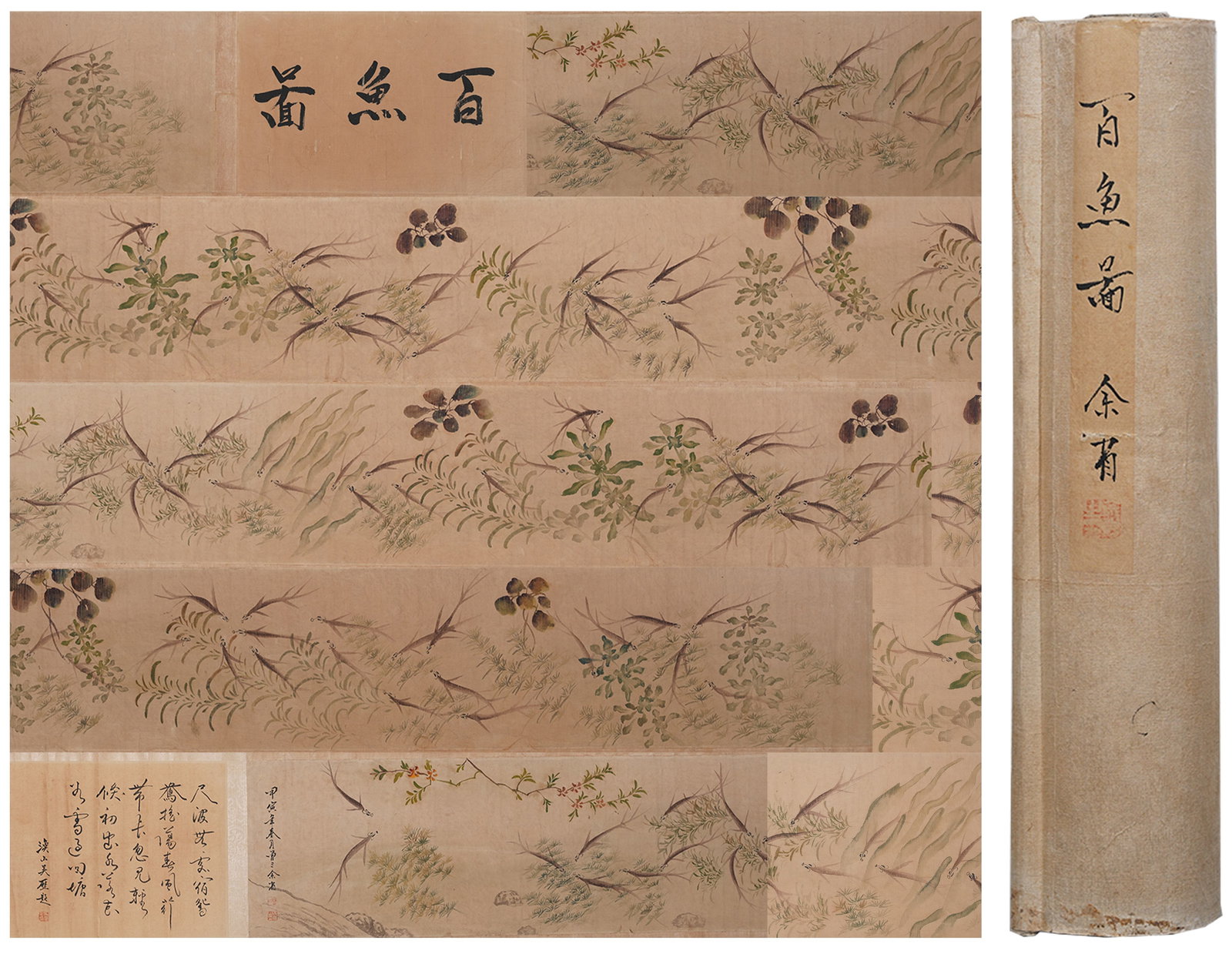 A ONE HUNDRED FISH HANDSCROLL ON PAPER BY YU SHENG.餘省 (1 of 13)