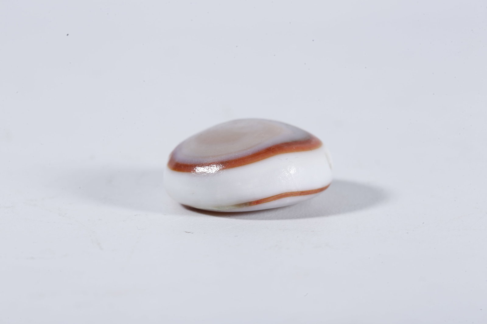 A AGATE DZI BEAD - 2
