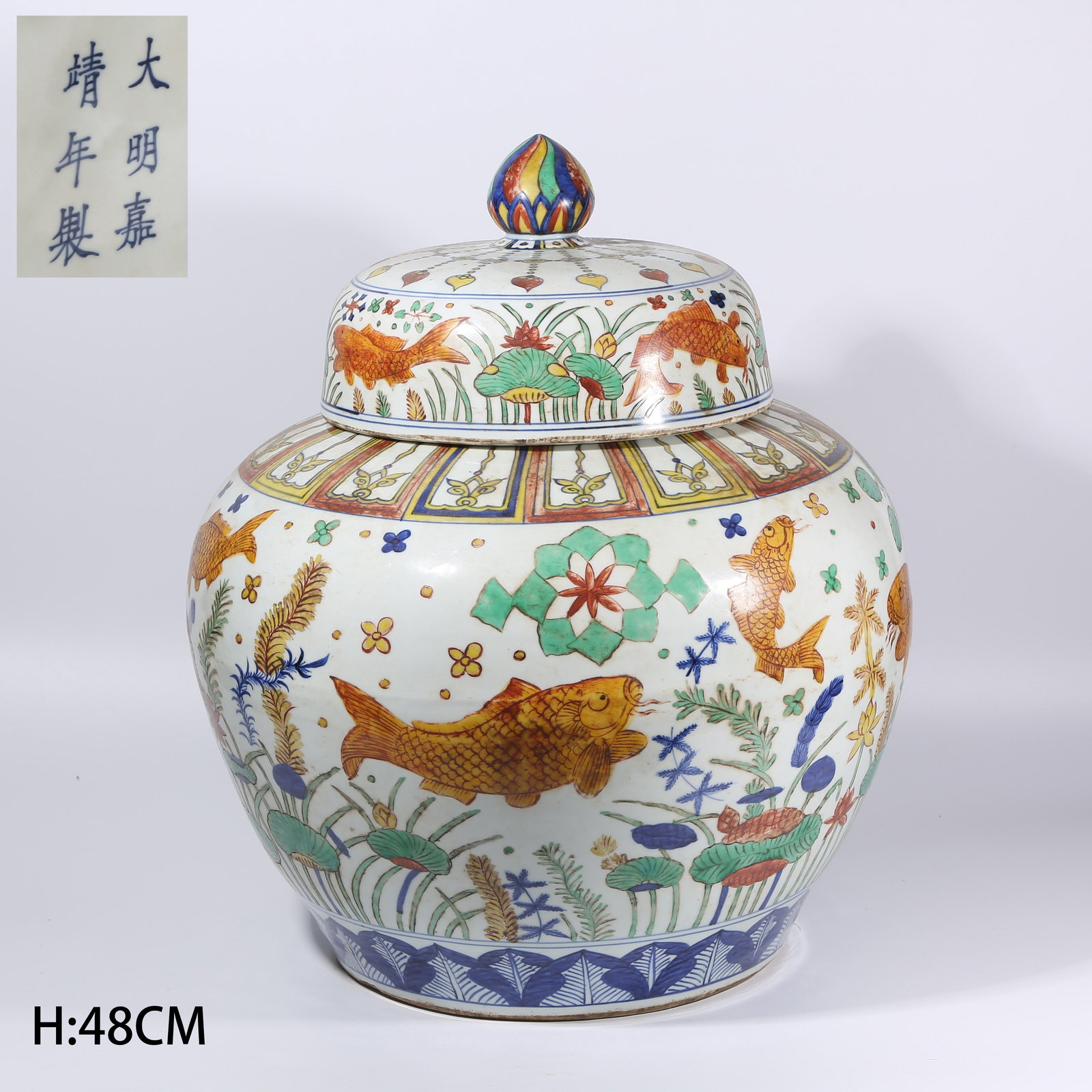 A WUCAI FISH AND ALGAE PATTERN LARGE JAR (1 of 10)