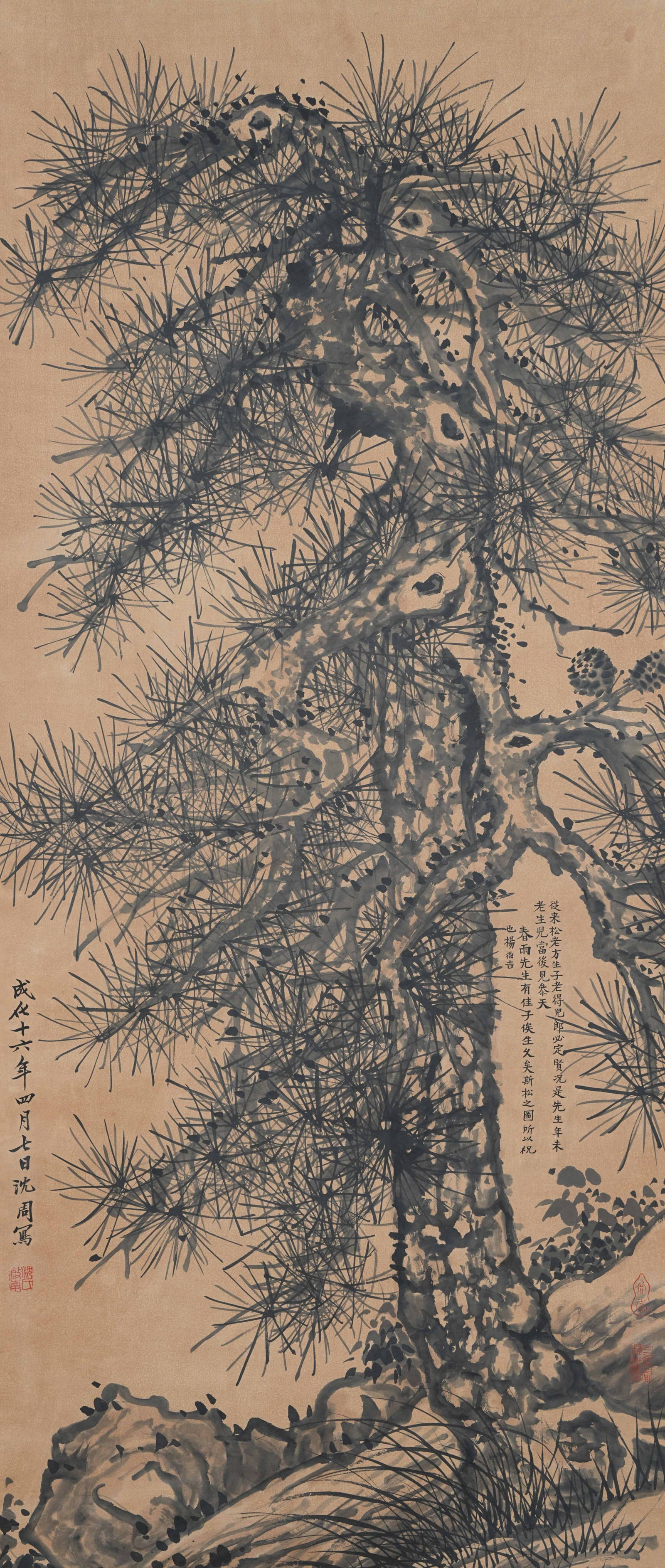 A PINE TREE PAINTING ON PAPER BY SHEN ZHOU.沈周: Pine Tree Painting on Paper by Shen Zhou.沈周