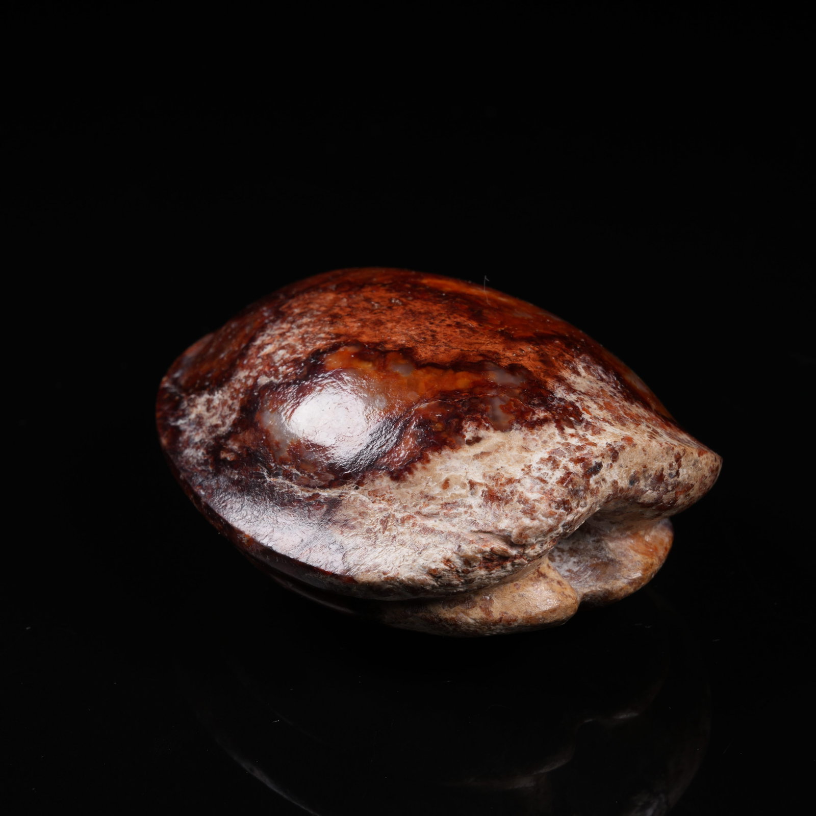A ANCIENT JADE TURTLE SHELL PENDANT (1 of 8)