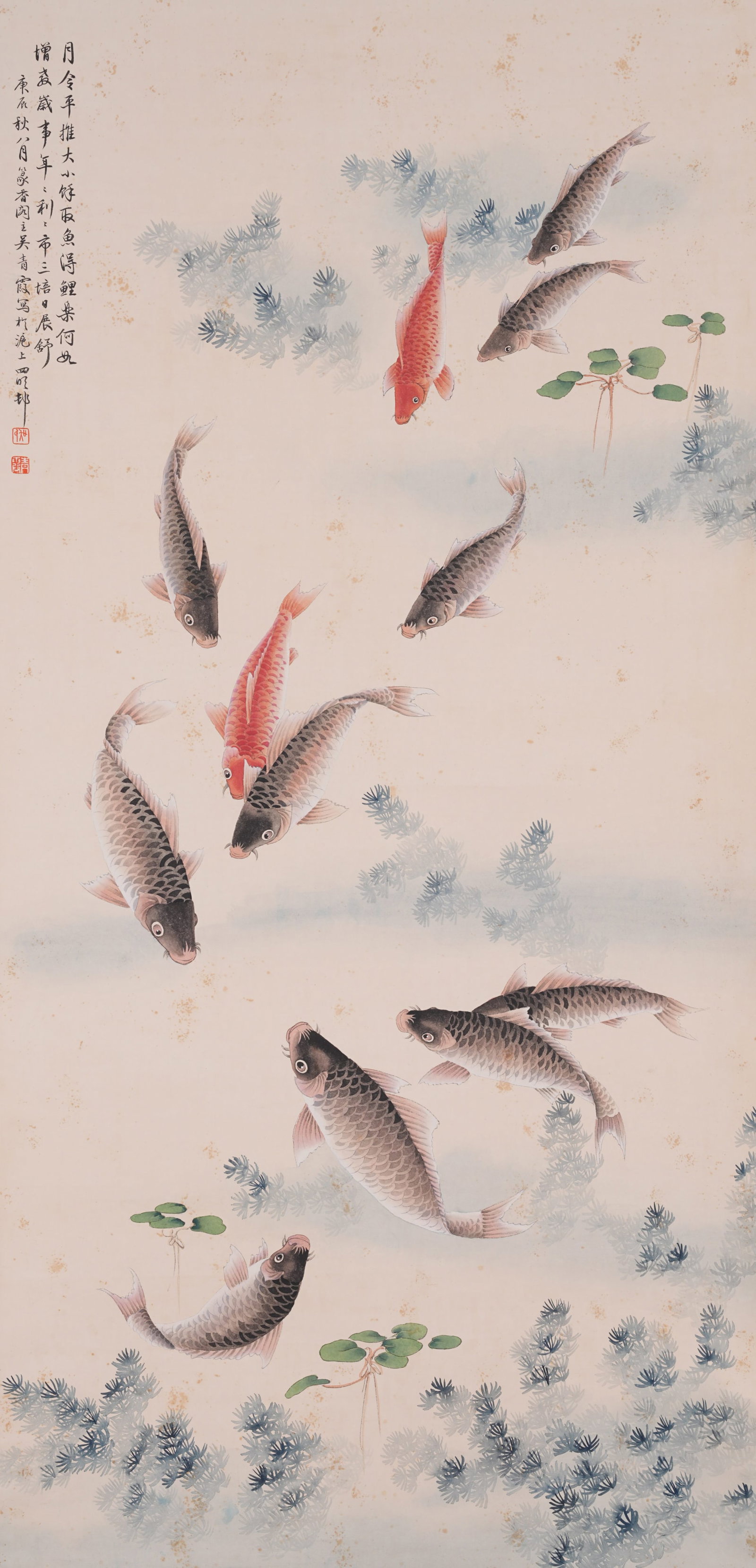A FISH AND ALGAE PAINTING ON PAPER BY WU QINGXIA.吳青霞: Fish and Algae Painting on Paper by Wu Qingxia.吳青霞
