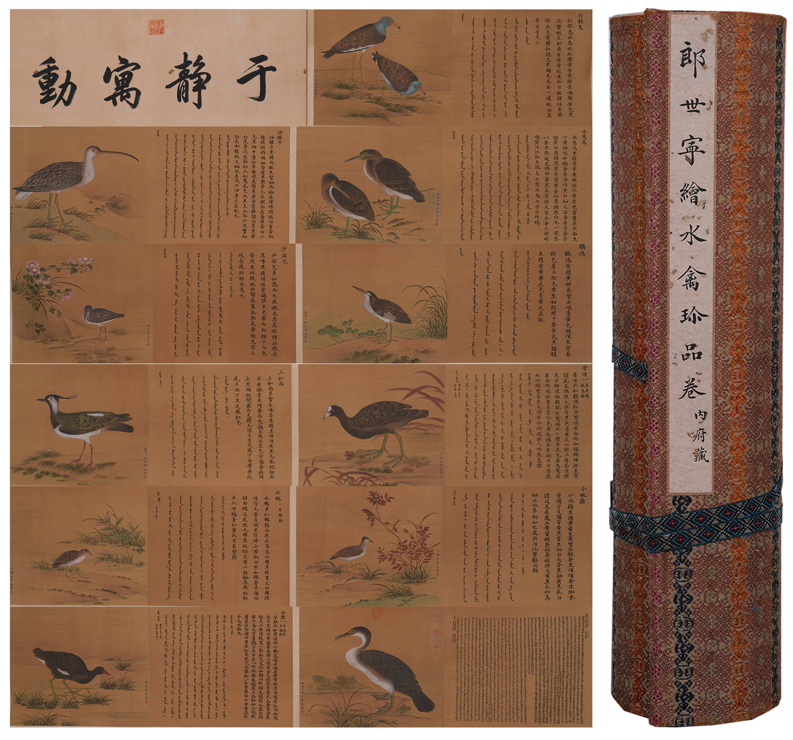 A WATERFOWL PAINTING HANDSCROLL ON SILK BY GIUSEPPE CASTIGLIONE.郎世寧: Waterfowl Painting Handscroll on Silk by Giuseppe Castiglione.郎世寧