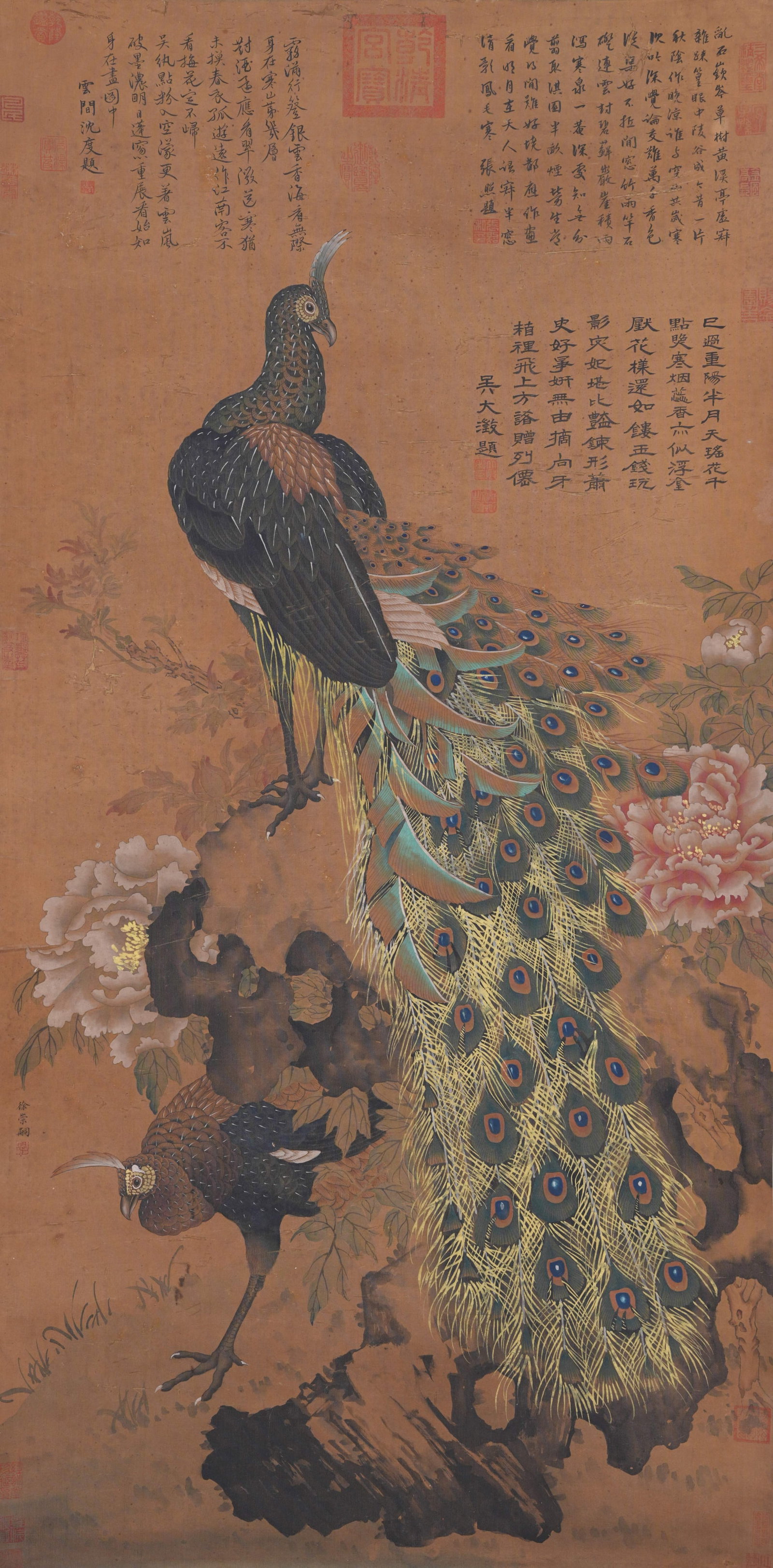 A PEACOCK PAINTING ON SILK BY XU CHONGSI.徐崇嗣: Peacock Painting on Silk by Xu Chongsi.徐崇嗣