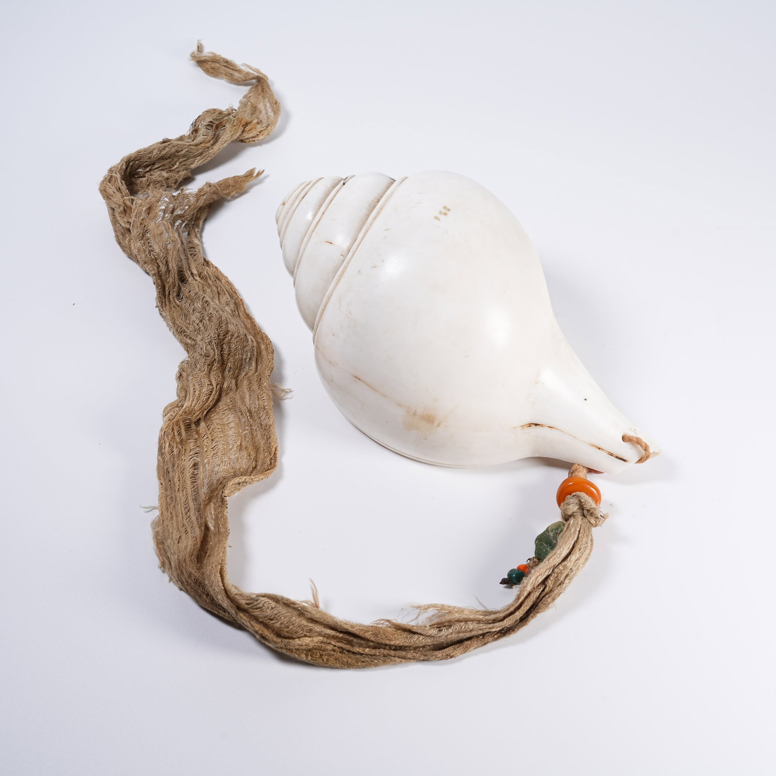 A CONCH RITUAL IMPLEMENT (1 of 9)