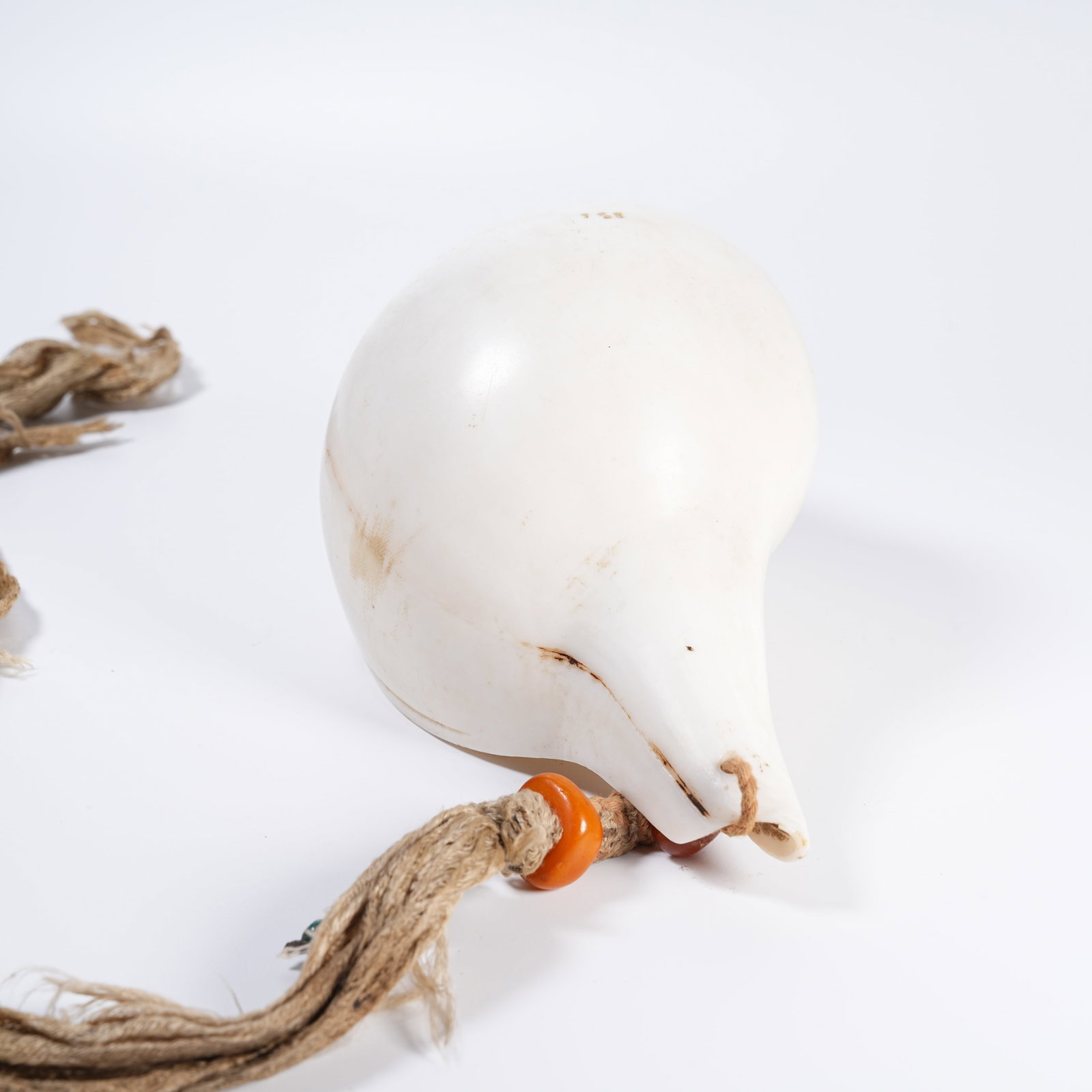 A CONCH RITUAL IMPLEMENT - 2