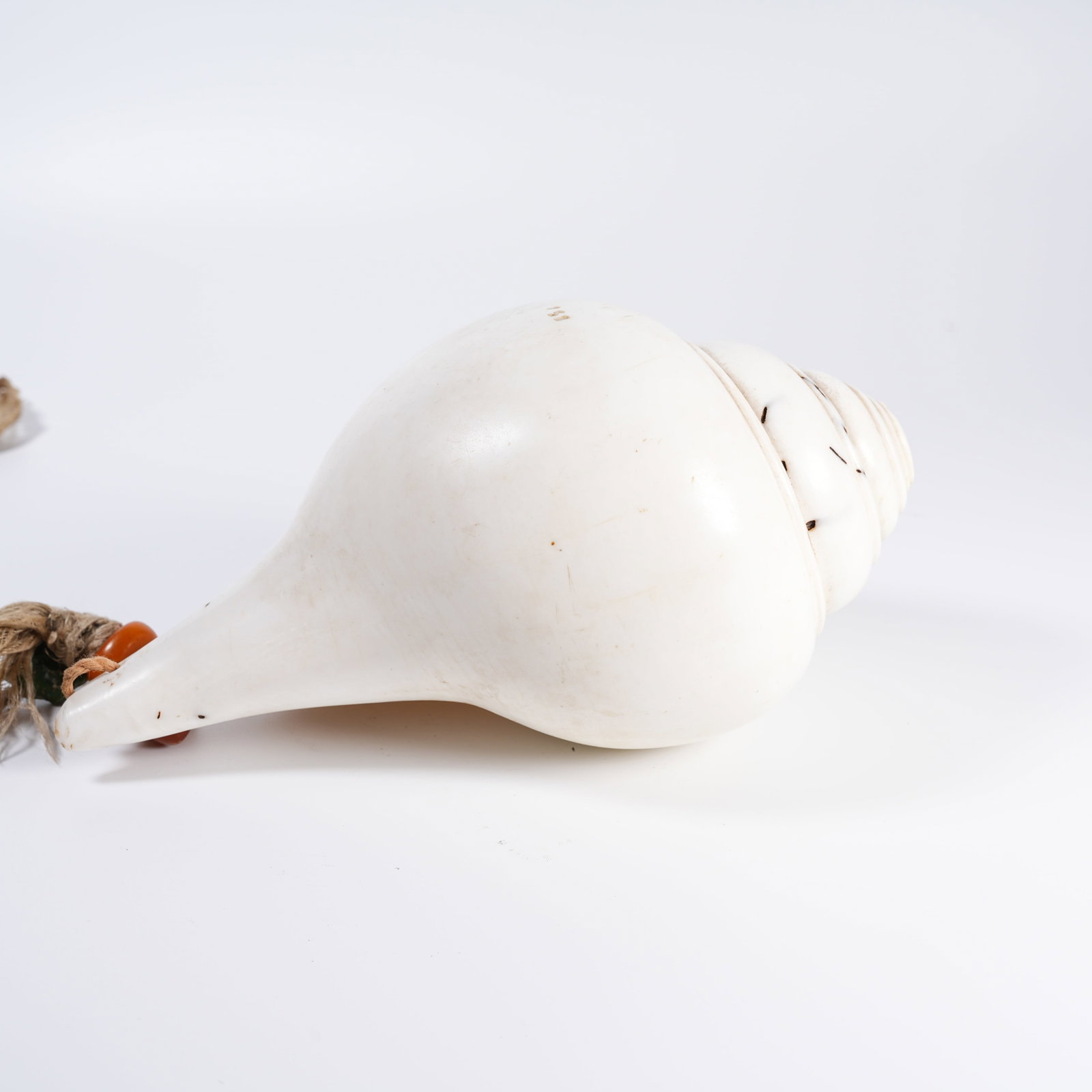 A CONCH RITUAL IMPLEMENT - 3