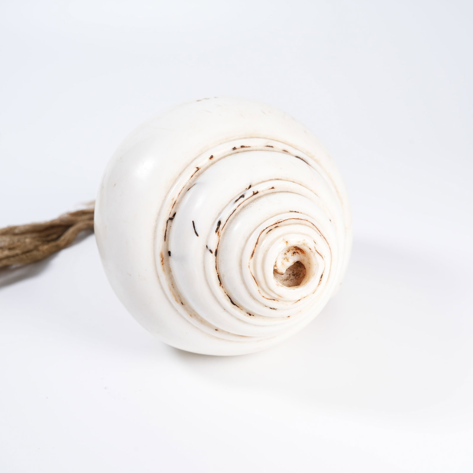 A CONCH RITUAL IMPLEMENT - 4