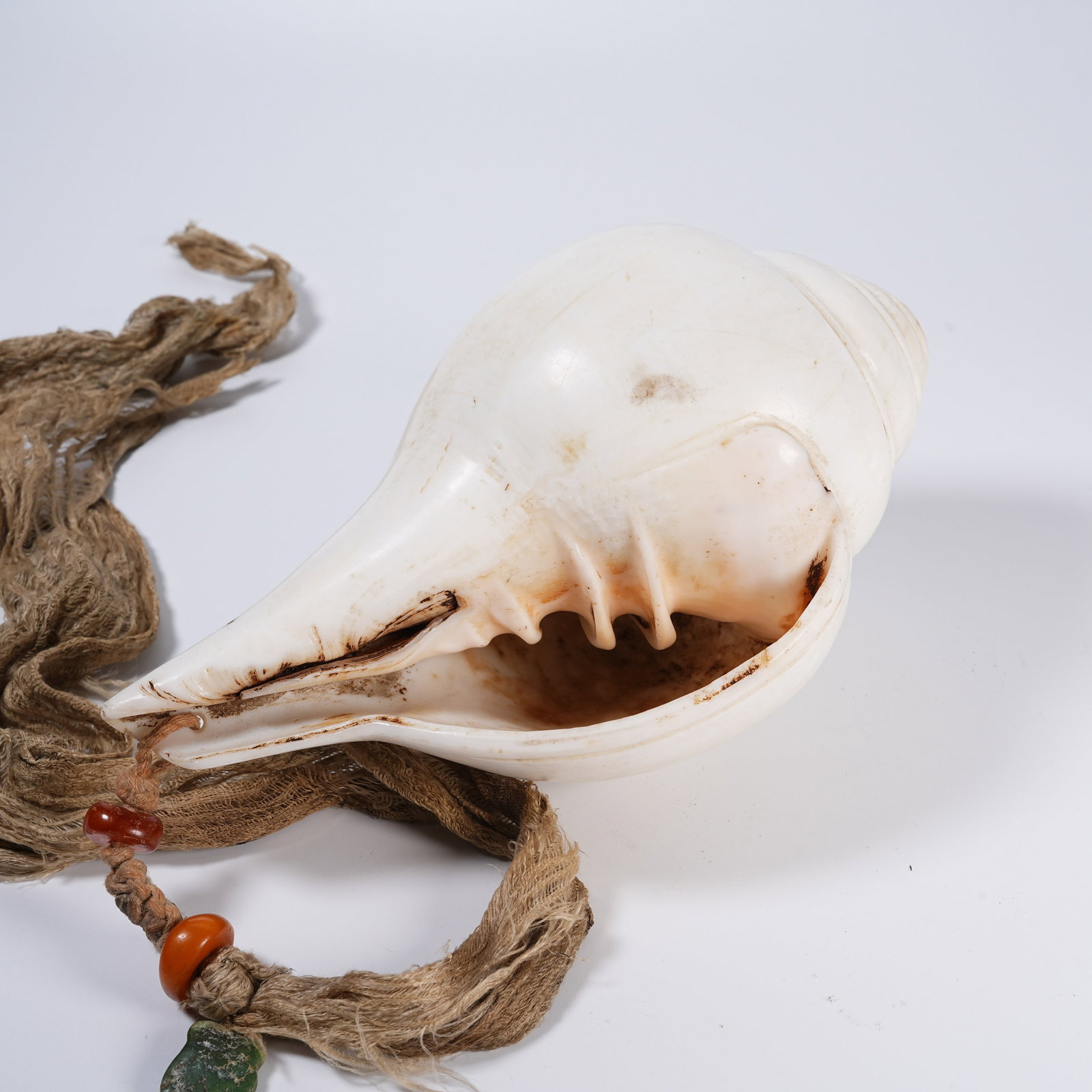 A CONCH RITUAL IMPLEMENT - 7